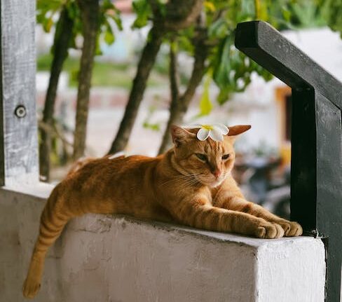 A importância do descanso e da recuperação para o seu desempenho?