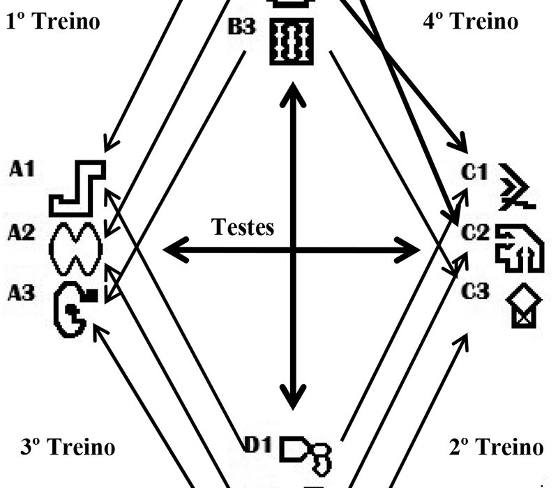 Como se alimentar antes e depois do treino para otimizar os seus resultados?